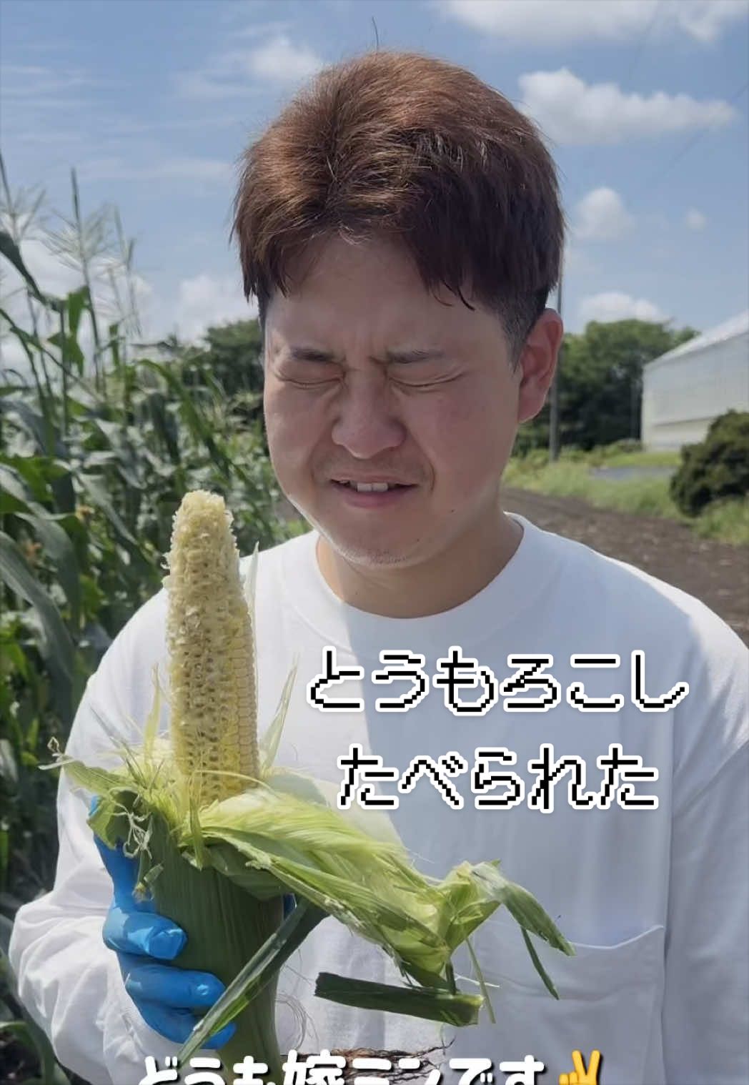 @今日の愛妻飯