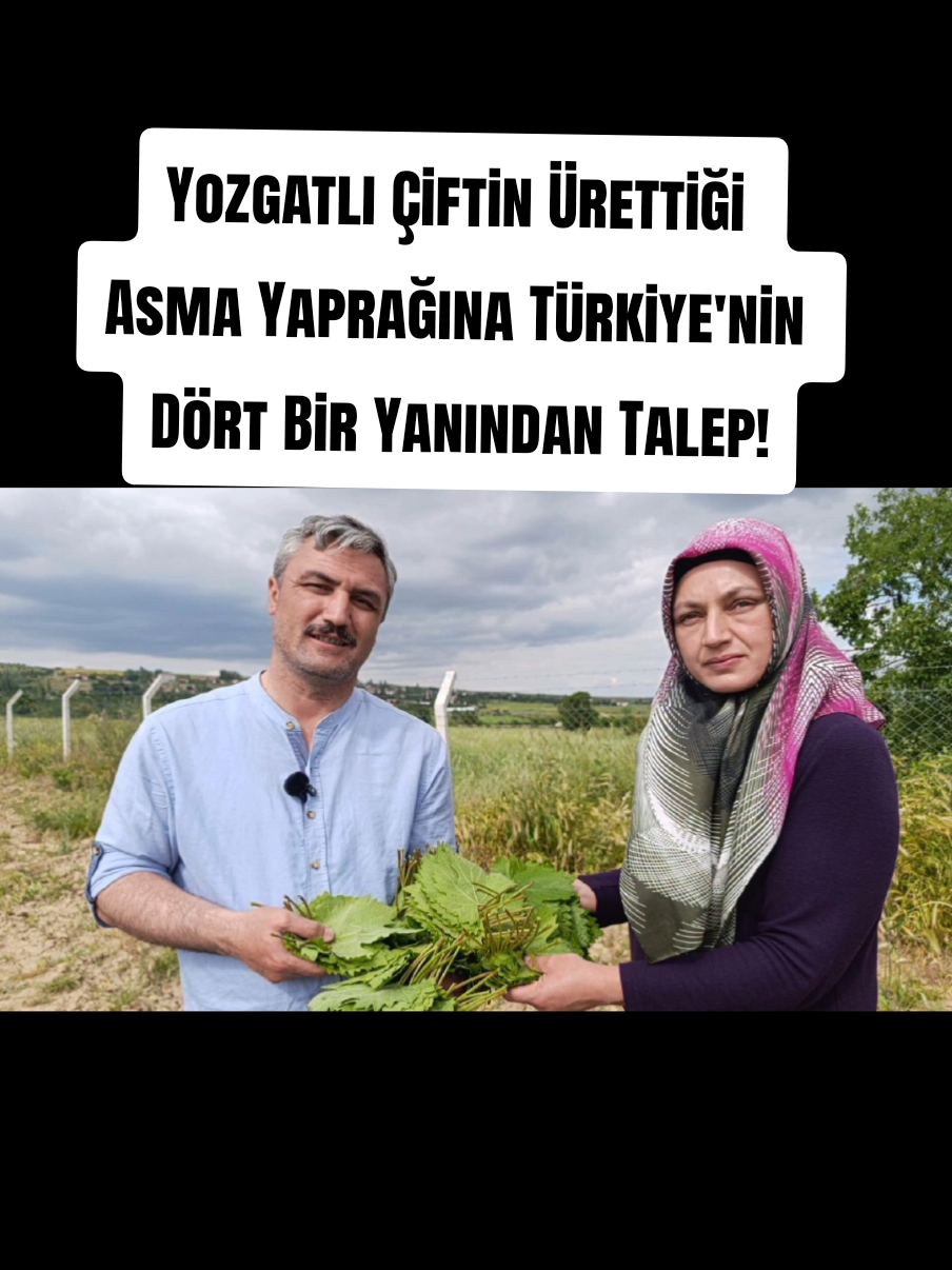 @Sorgunadair