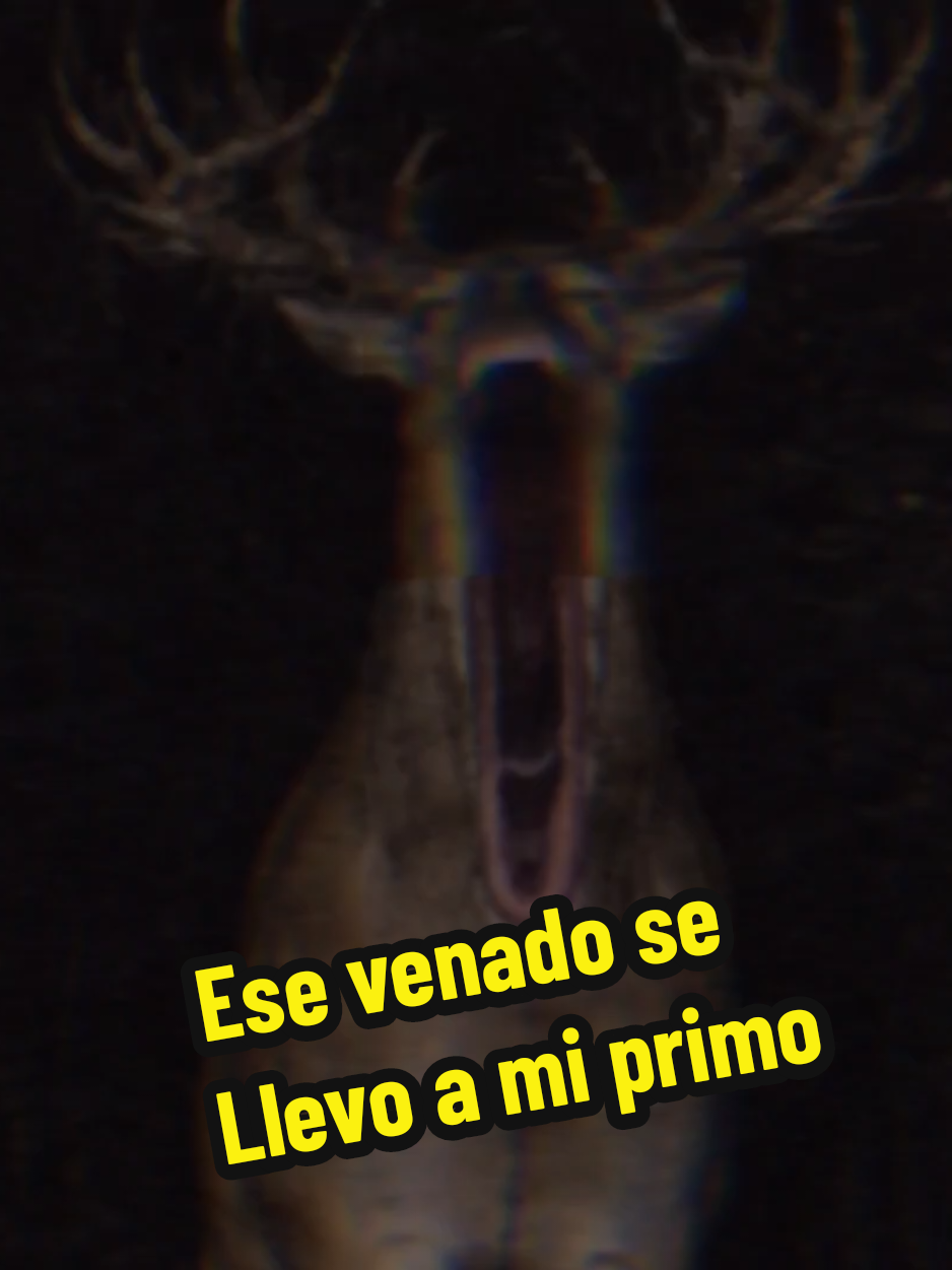 @El diario de coraje