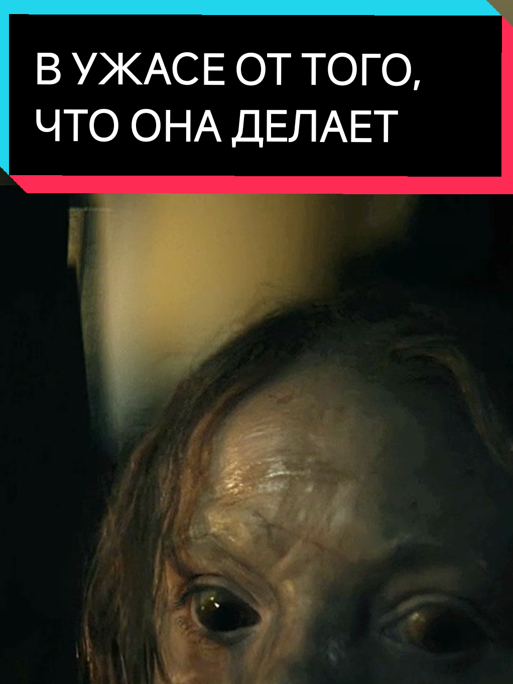 @kino_hits