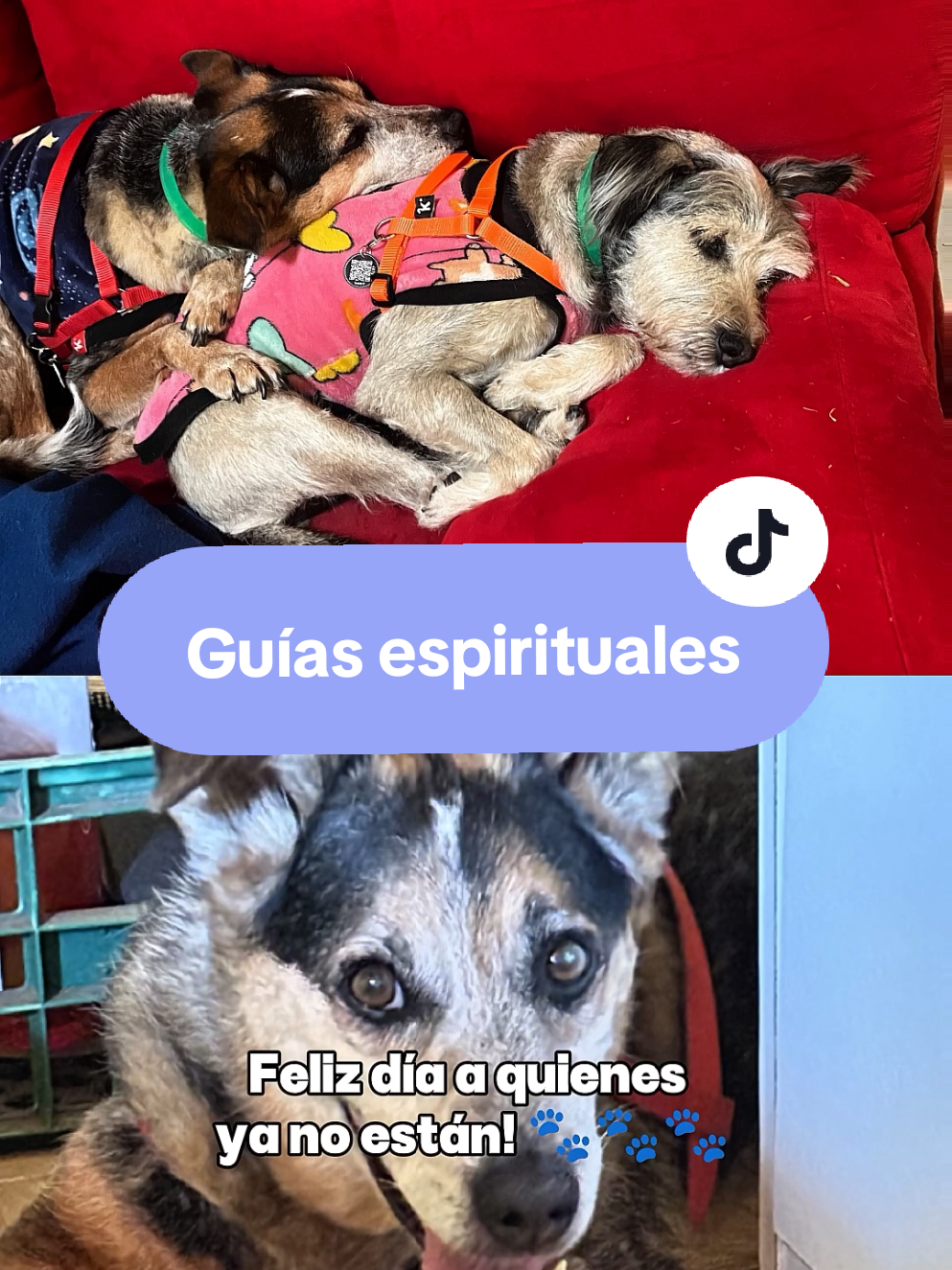@Ayurdevas Monte Grande