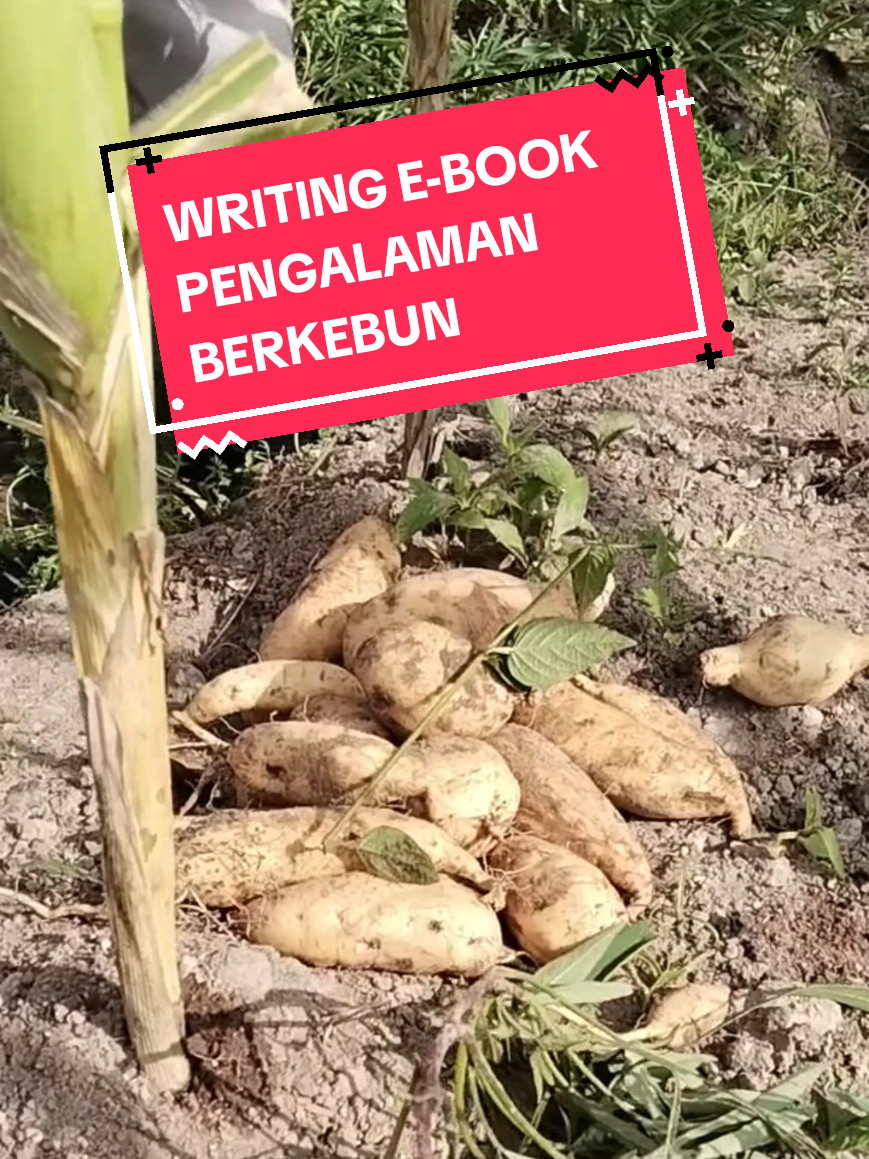 @Mr. Anas | Writing Skill