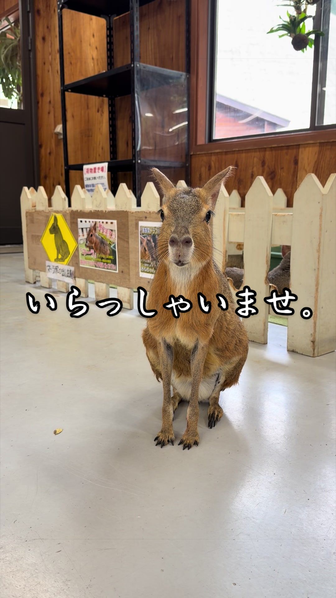 @草津熱帯圏