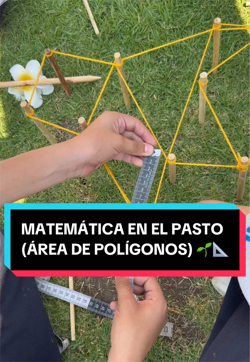 @&iquest;Qu&eacute; onda prof?