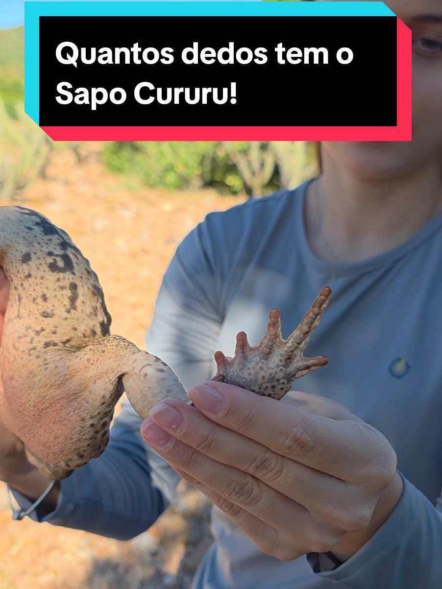 @Princesa das Serpentes