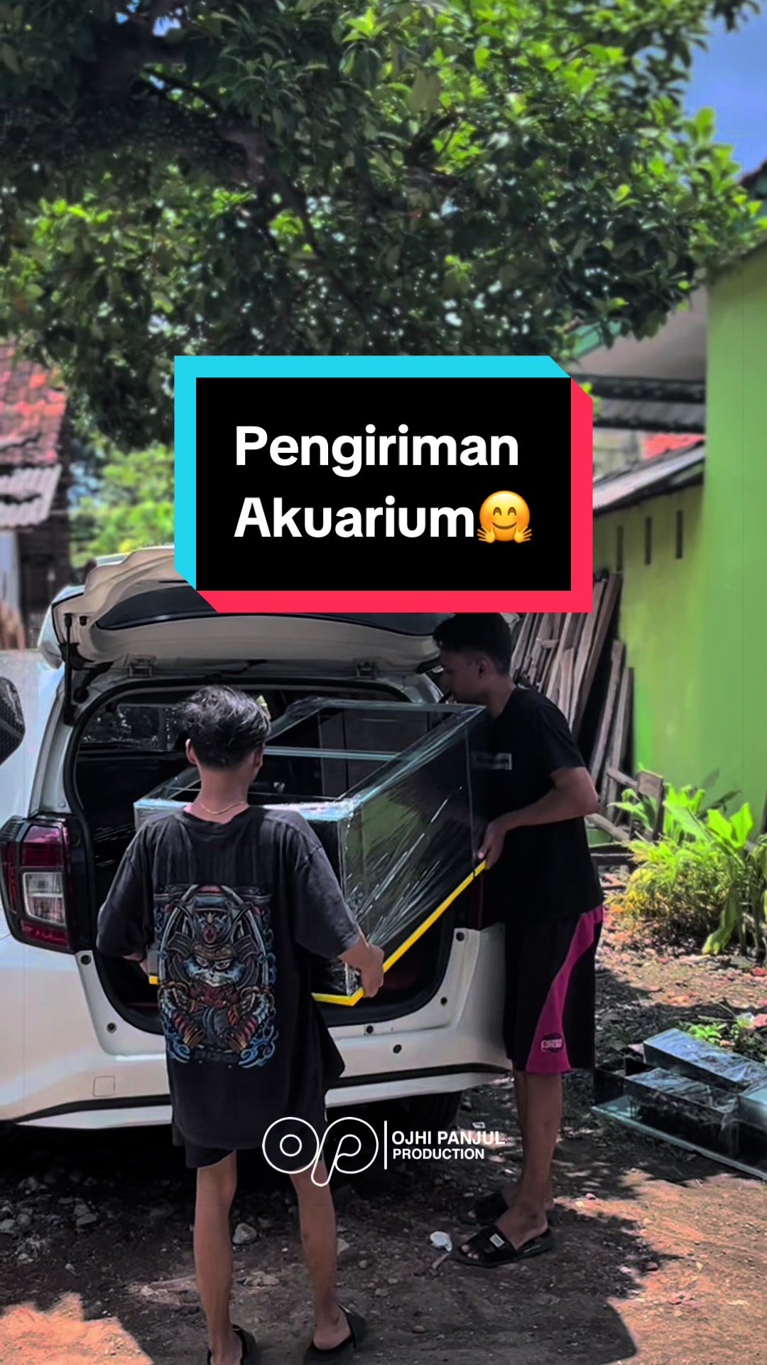 @Panjul Aquafish