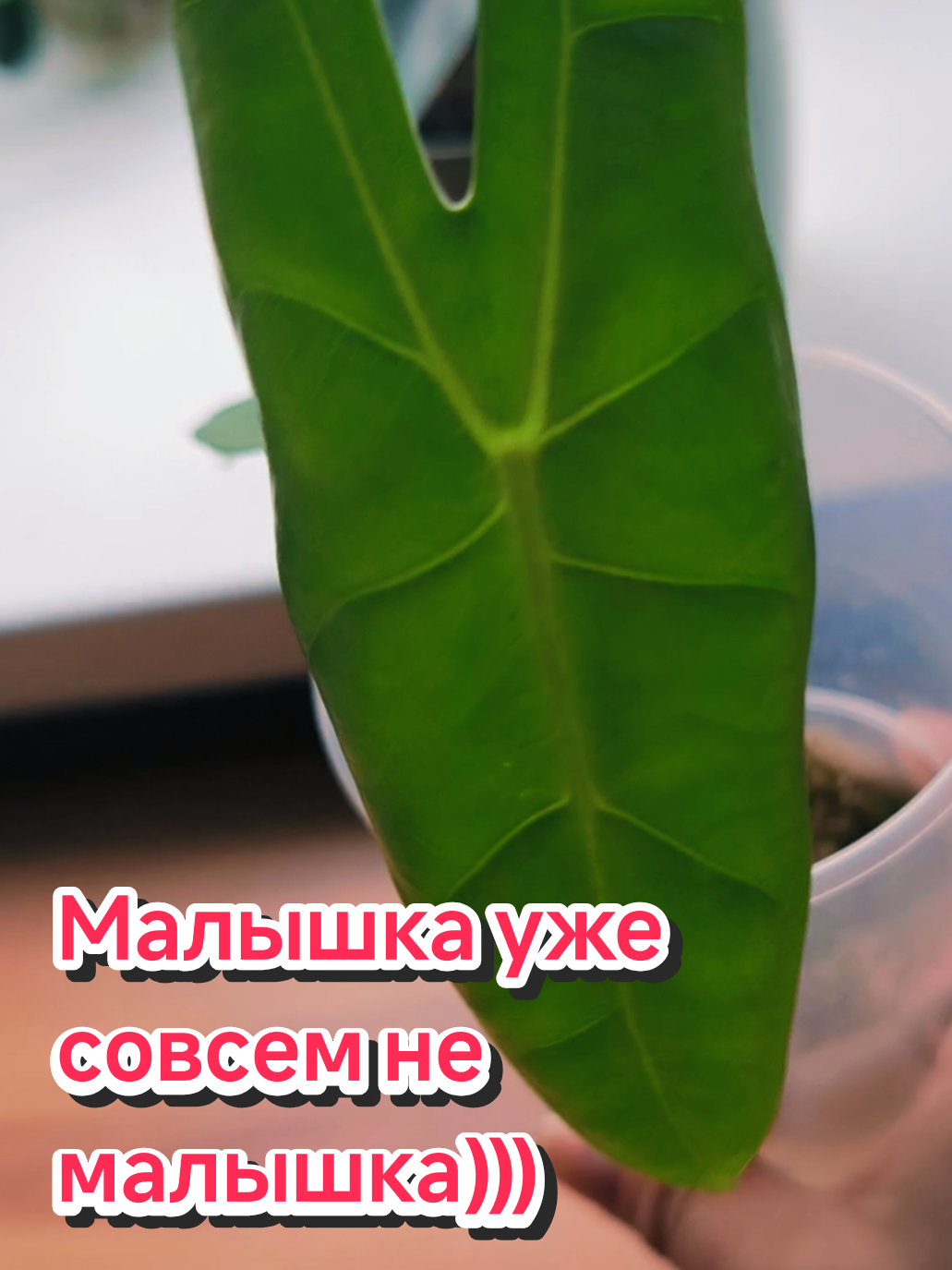 @kri_ma_photo
