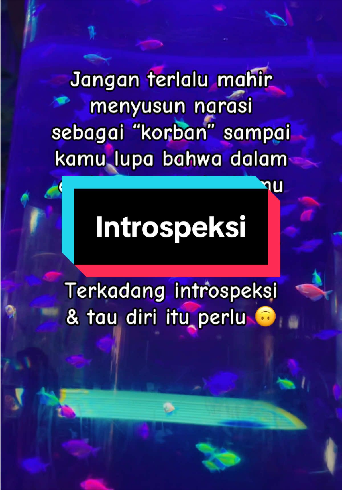 @mommyaqilla19