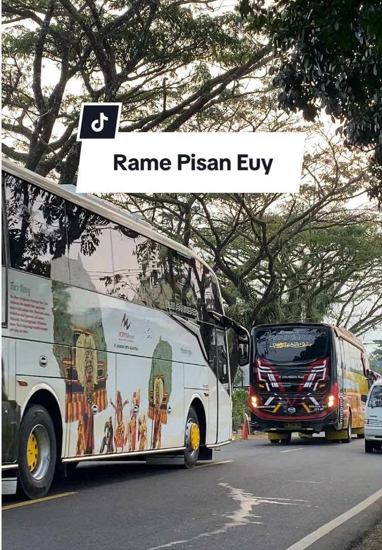 @Fasni Vidio Bus⚡️