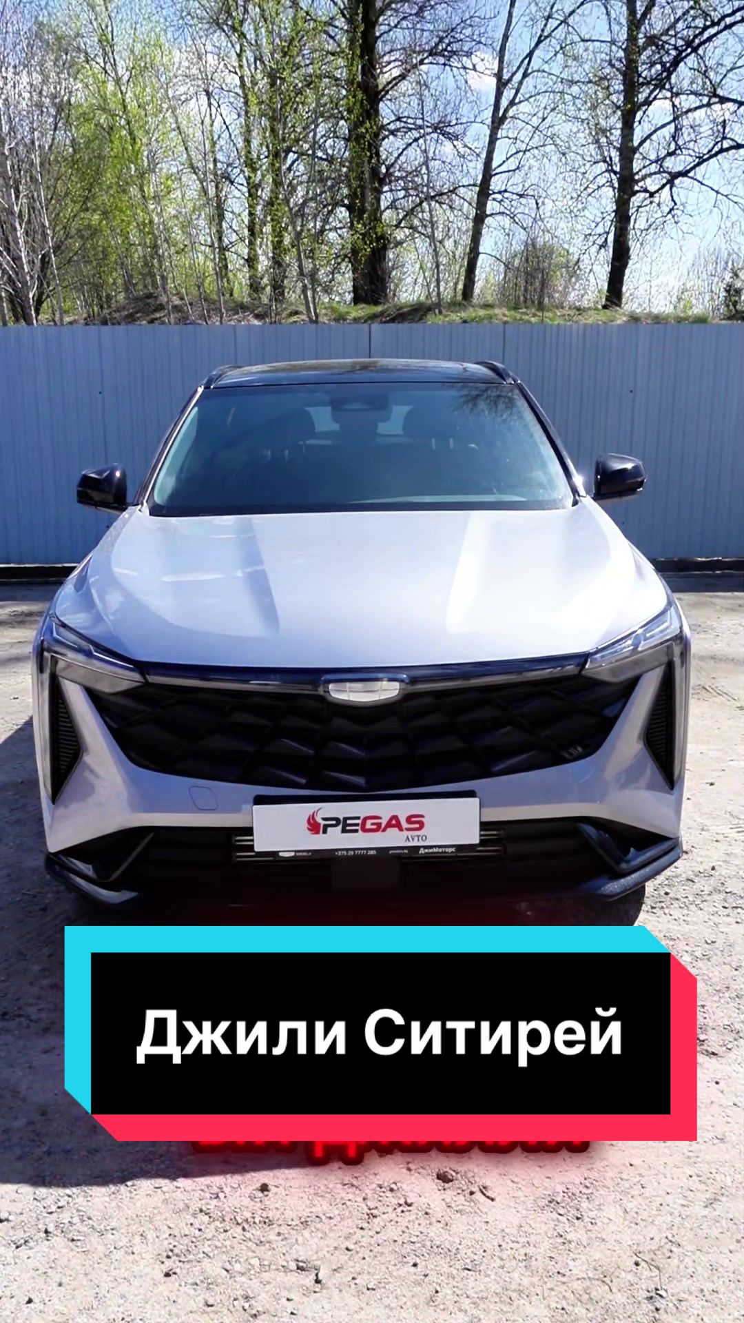 @Пегас-авто Витебск