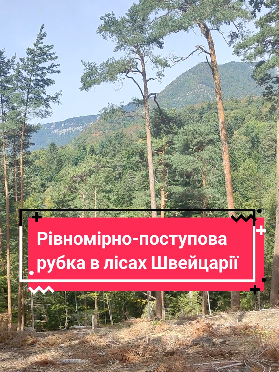 @Юрій Сірук