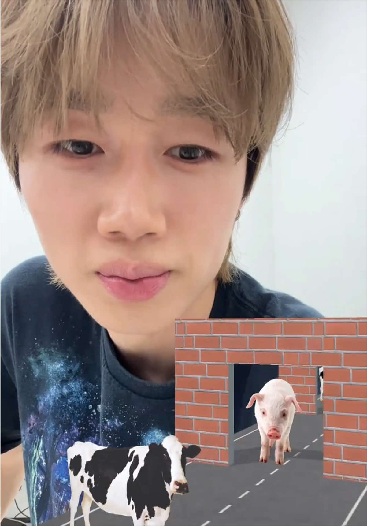 @SPAX / 스팍