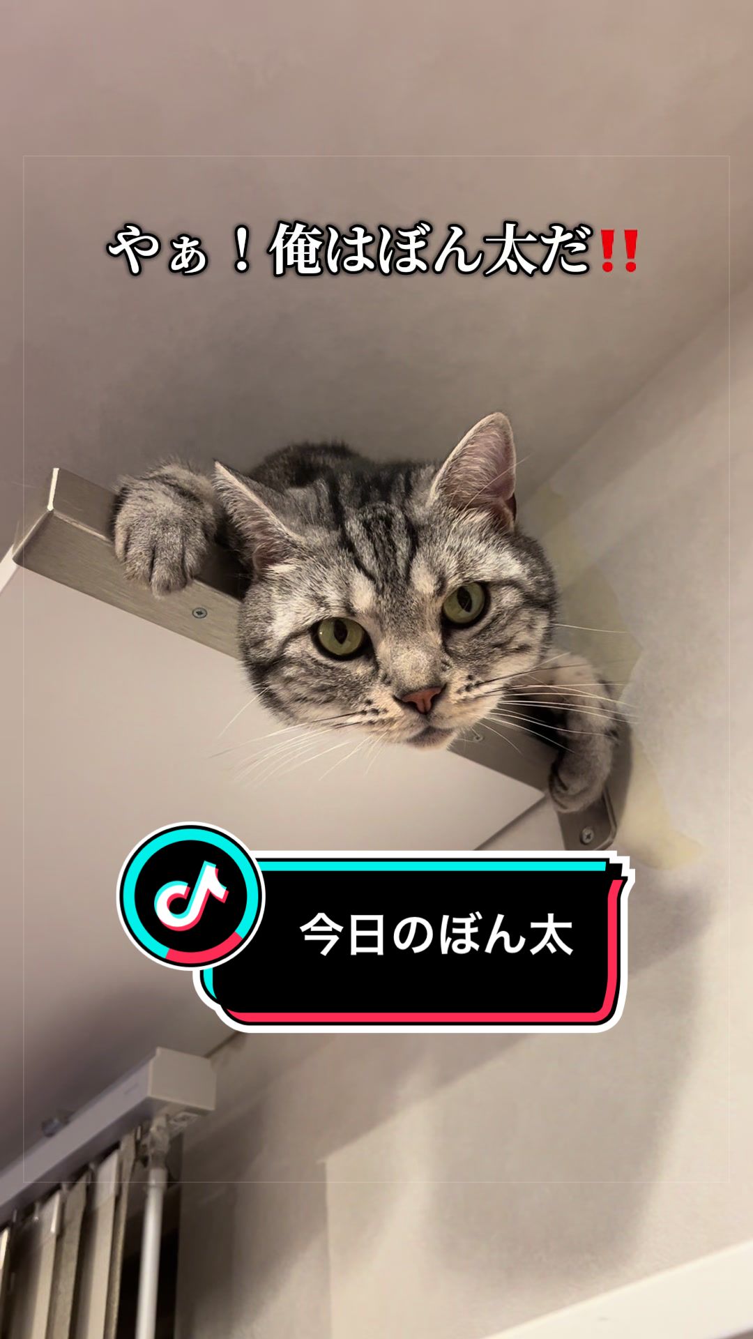 @稲荷弥勒