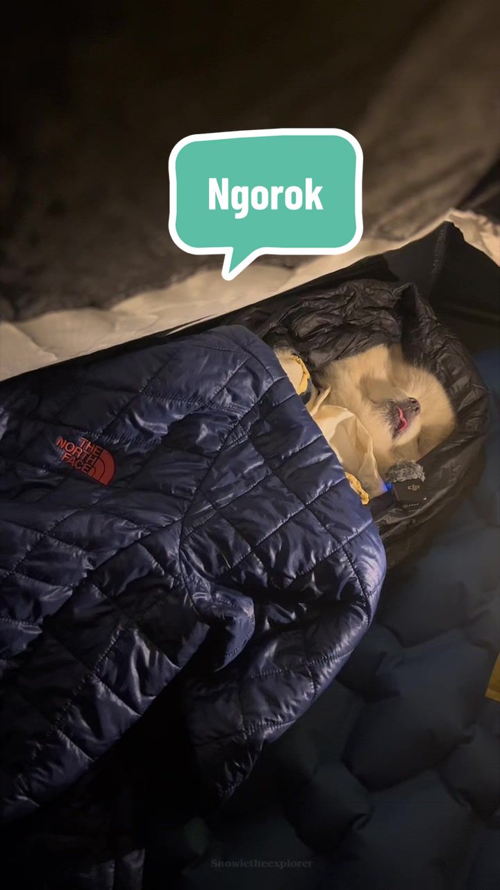 @snowietheexplorer