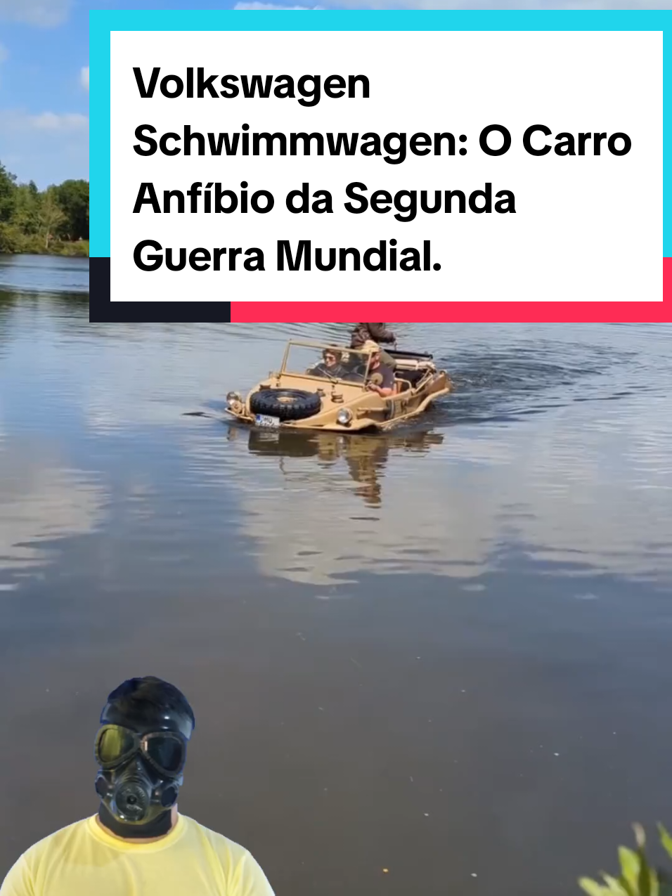 @Mundo da Curiosidades