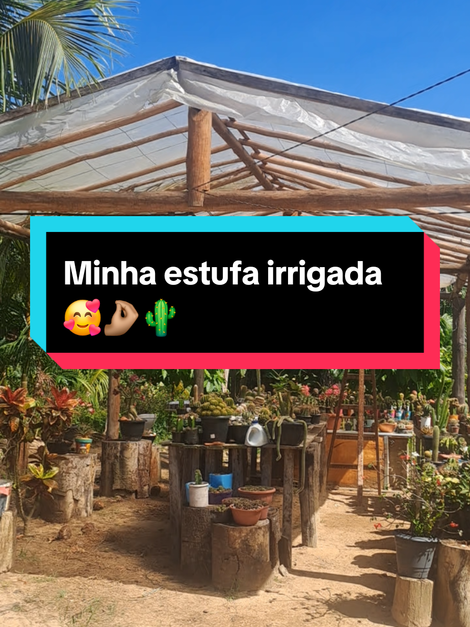 @Val Brito🌻✍️