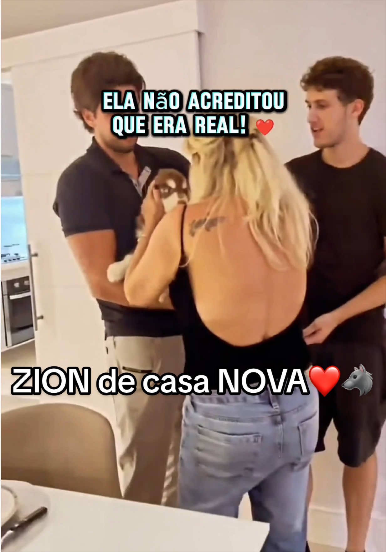 @Brazilian Pomsky