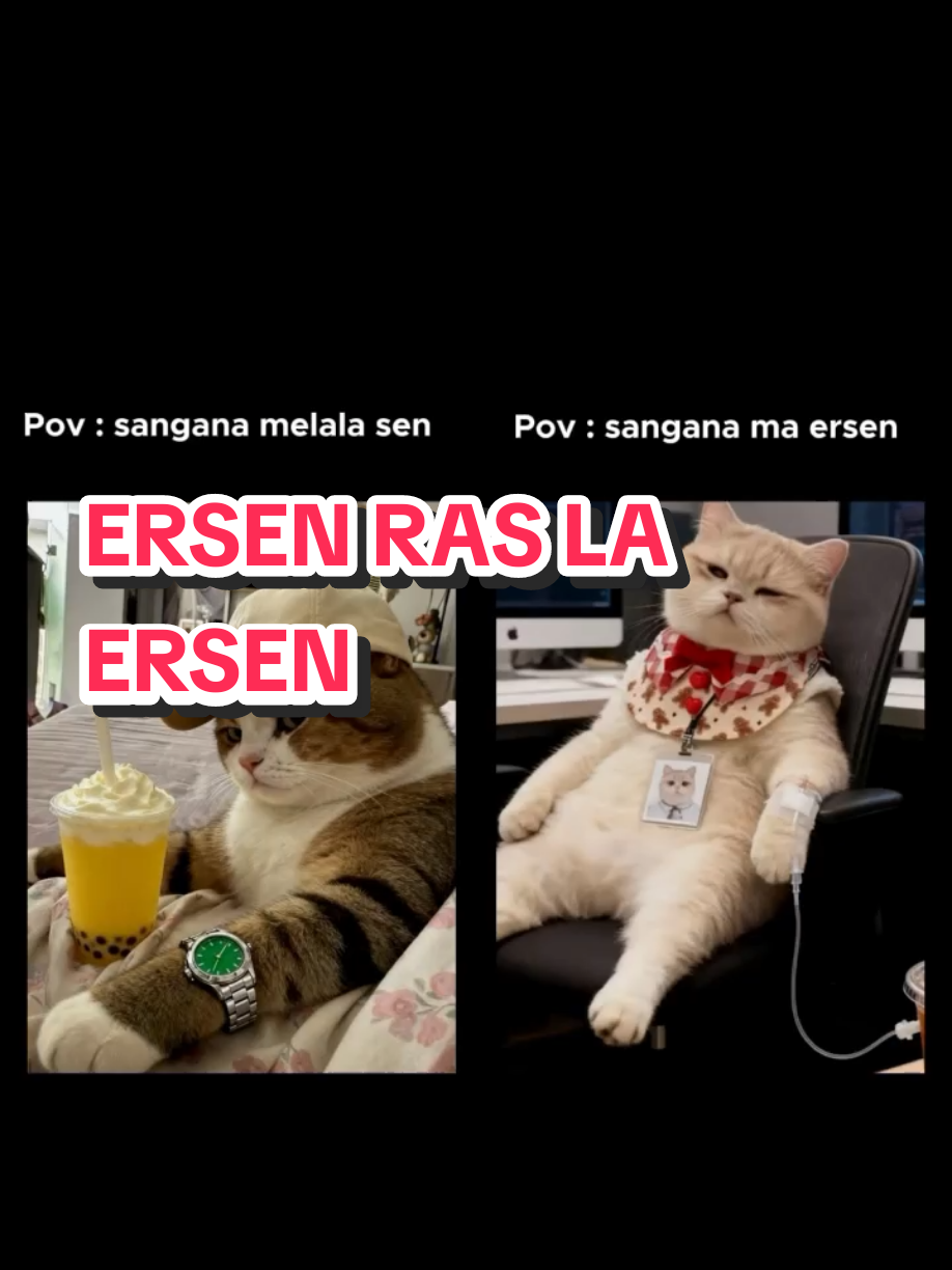 @K𝙖r𝙤_B𝙚r𝙠a𝙧y𝙖💸
