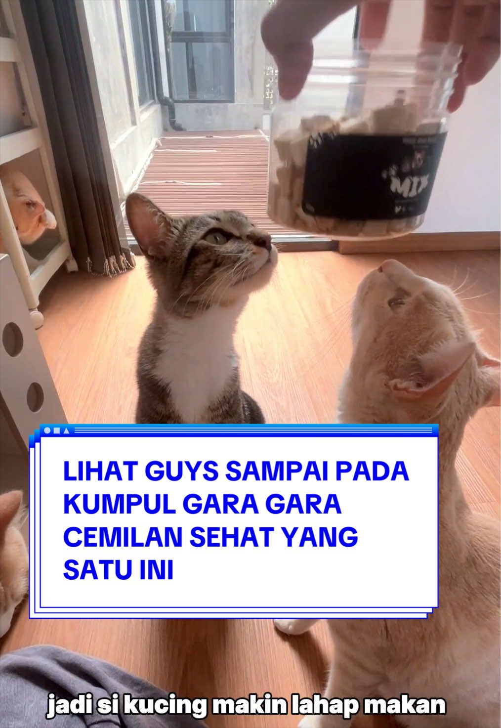 @Pororo Official