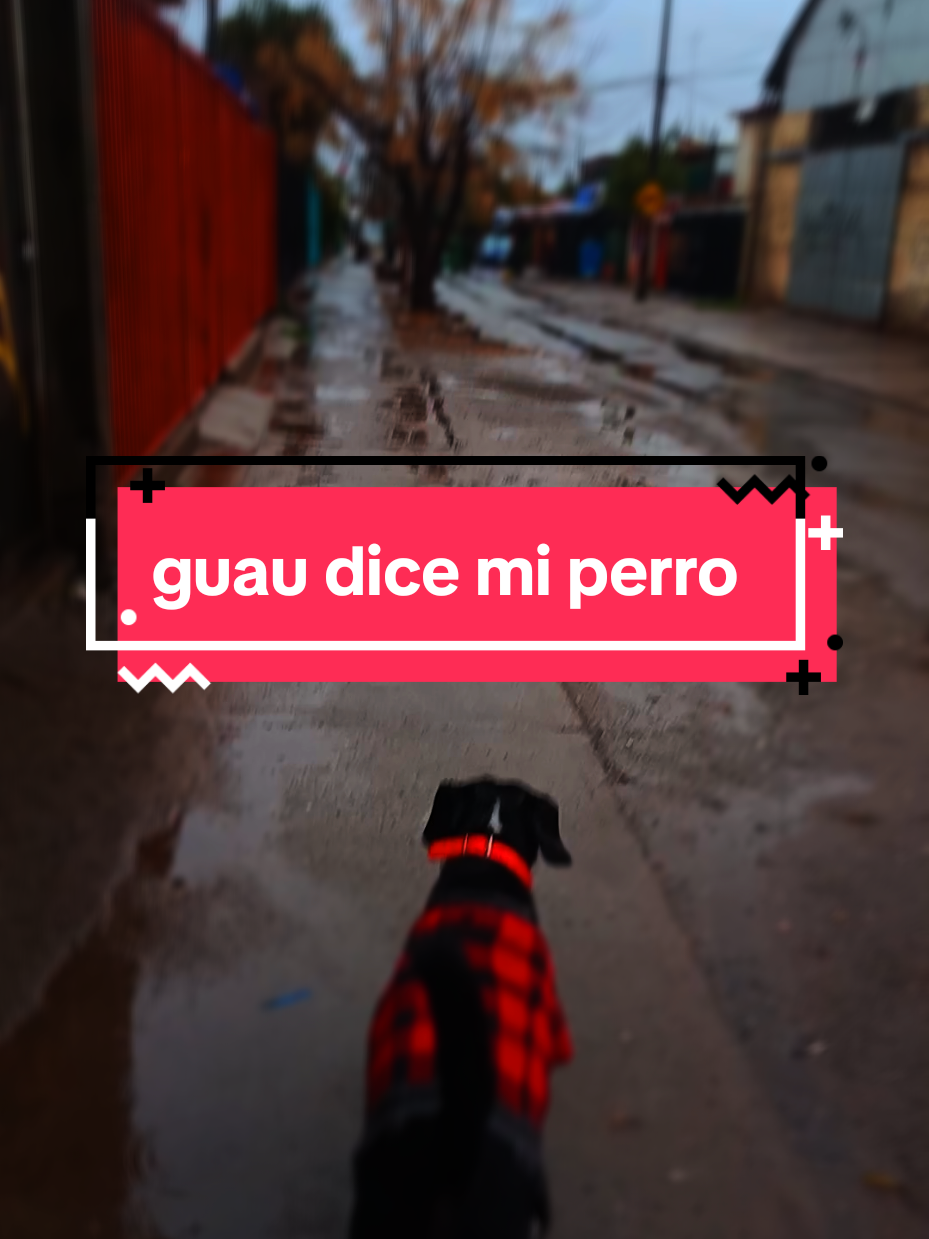 @educine91@gmail.com