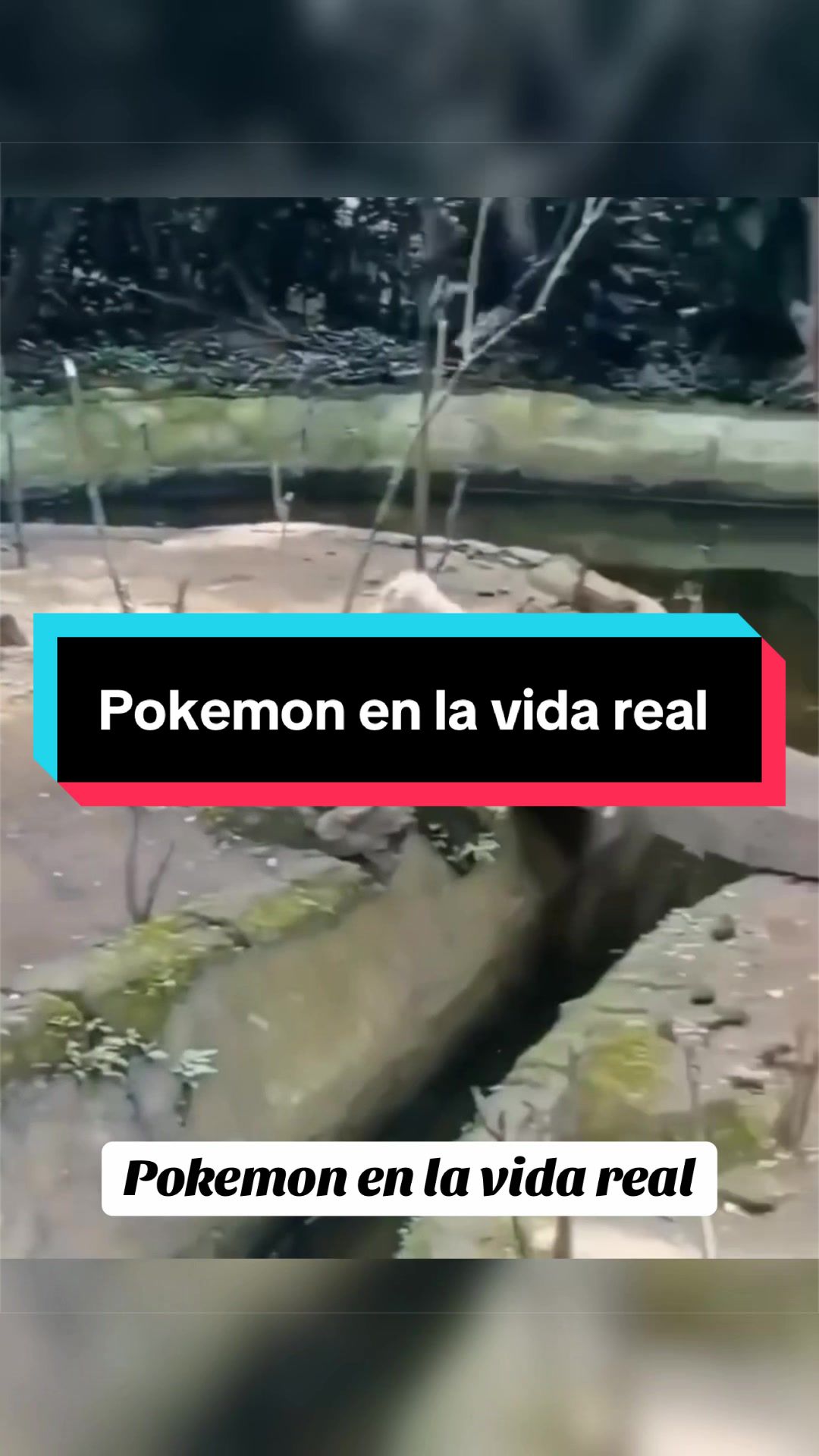@Javier Villegas