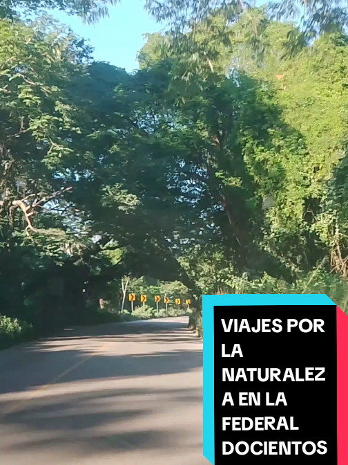 @Eliseo López