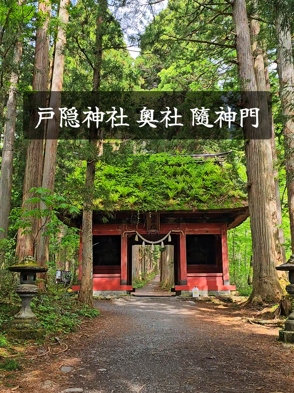 @ぴーち社長