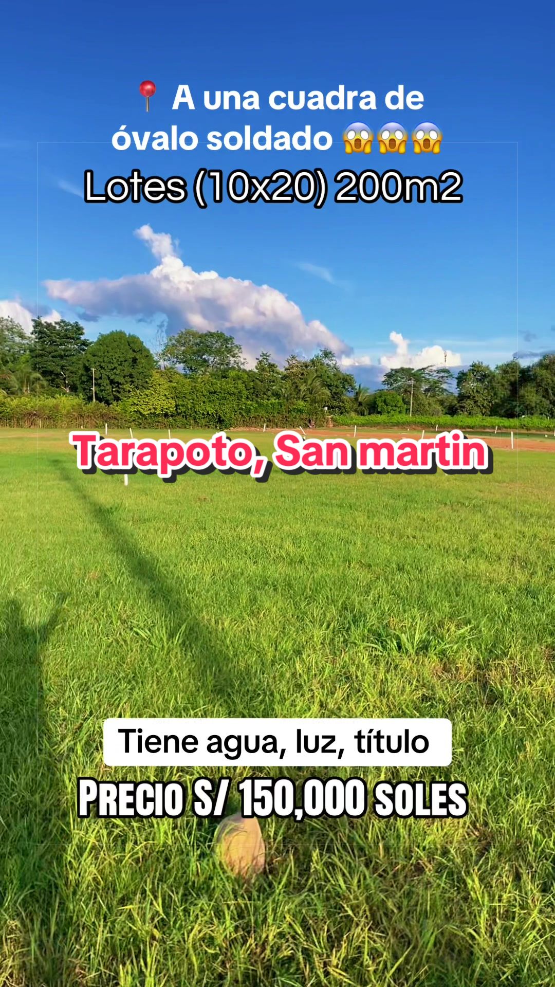 @apartamentcom