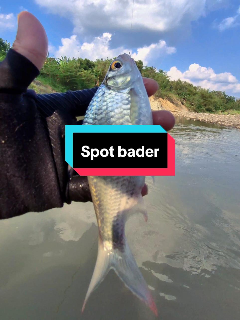 @Mr. Angler