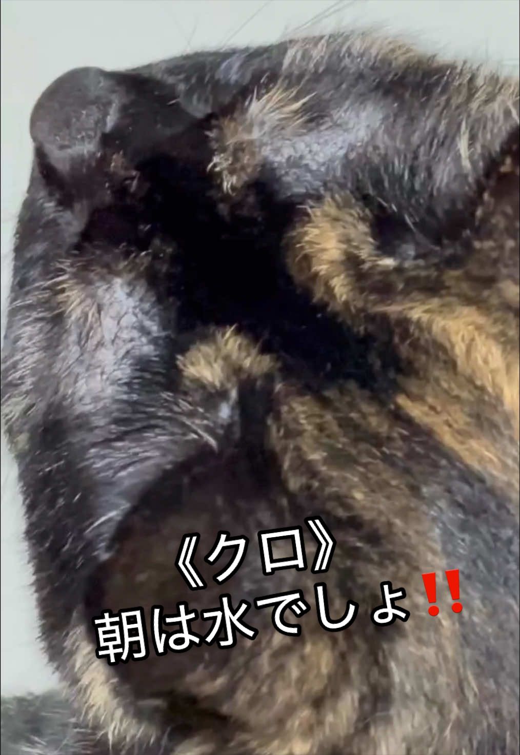@聴々物語PROJECT