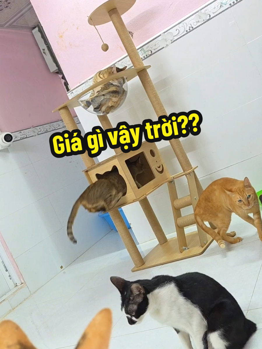 @Khế thúi