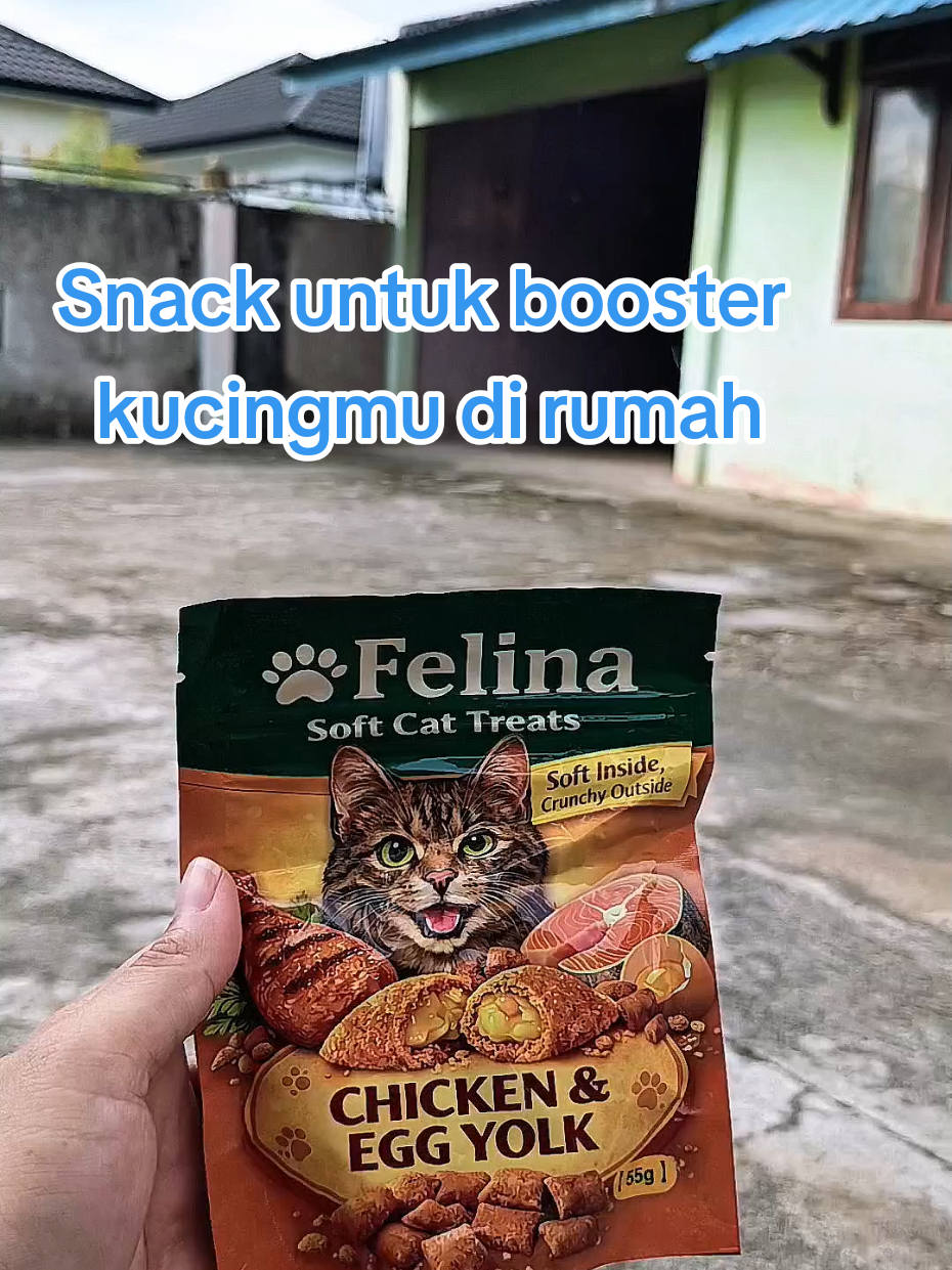 @Medayo Petcare