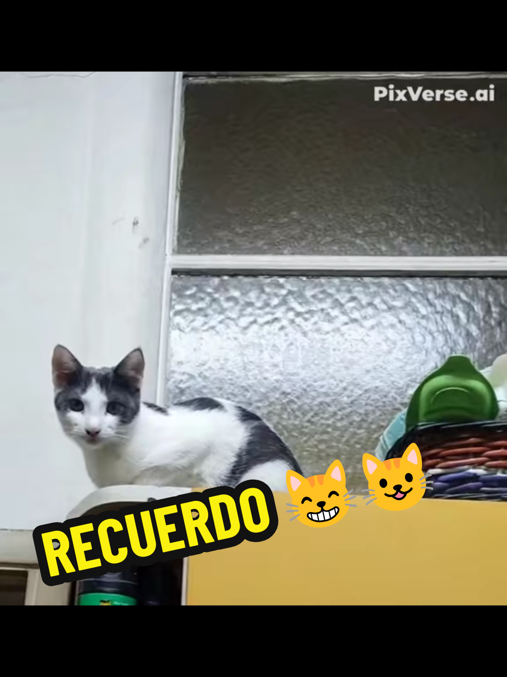 @TITA y RHODESIA