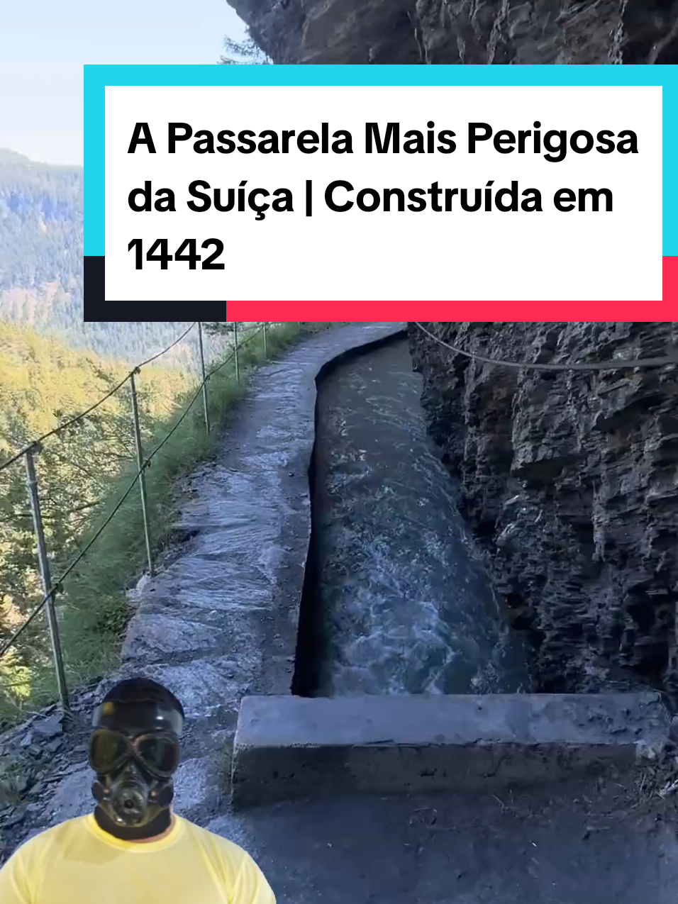 @Mundo da Curiosidades