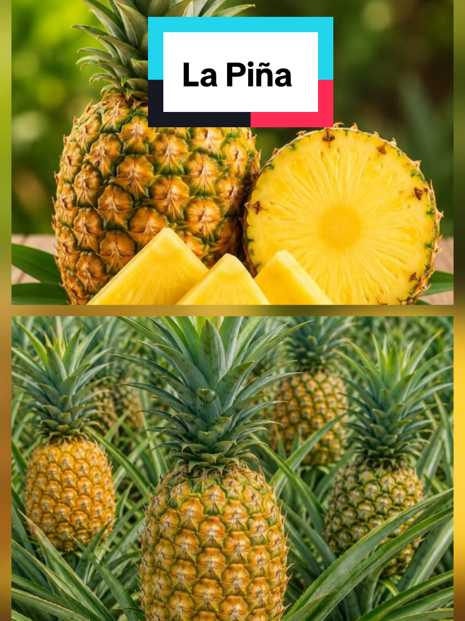 @𝐉𝐨𝐬𝐲