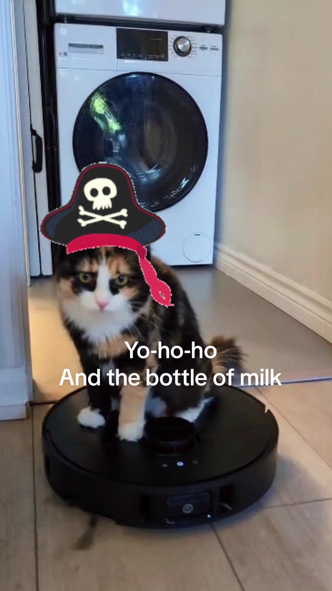 @two.calico.sisters