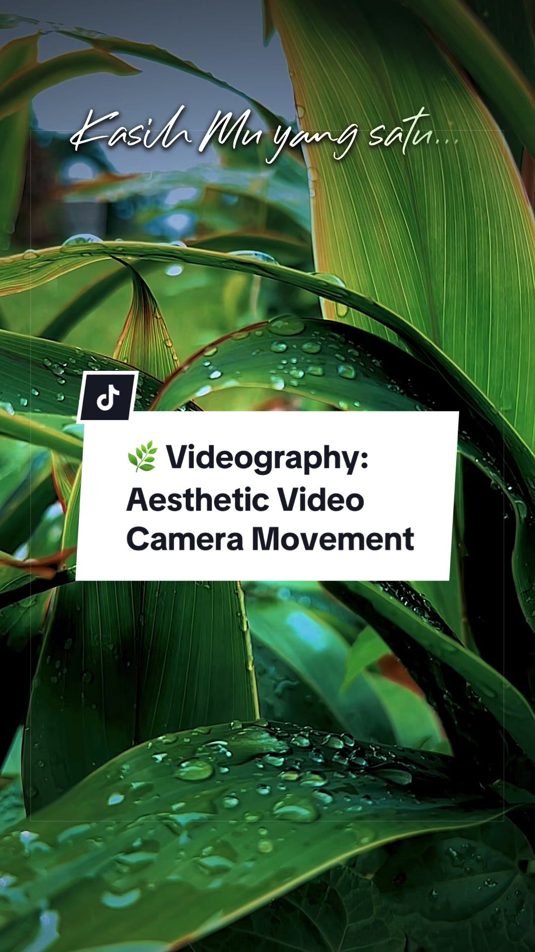 @Muhammad | Videographer