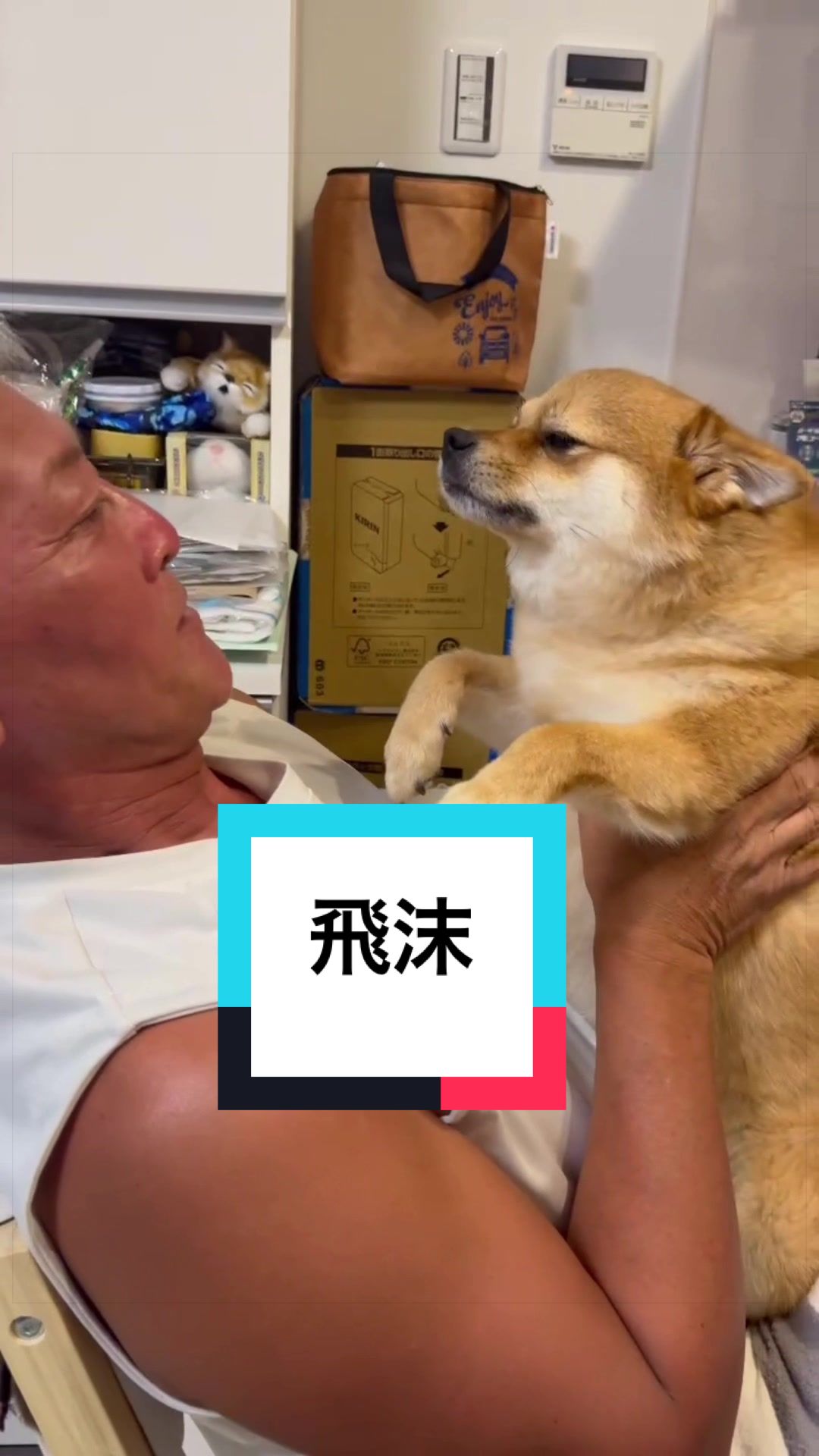 @🐶とん&ぺっぺこぺー🦊