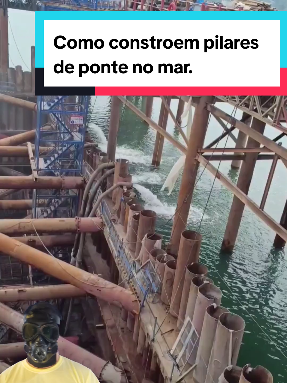 @Mundo da Curiosidades
