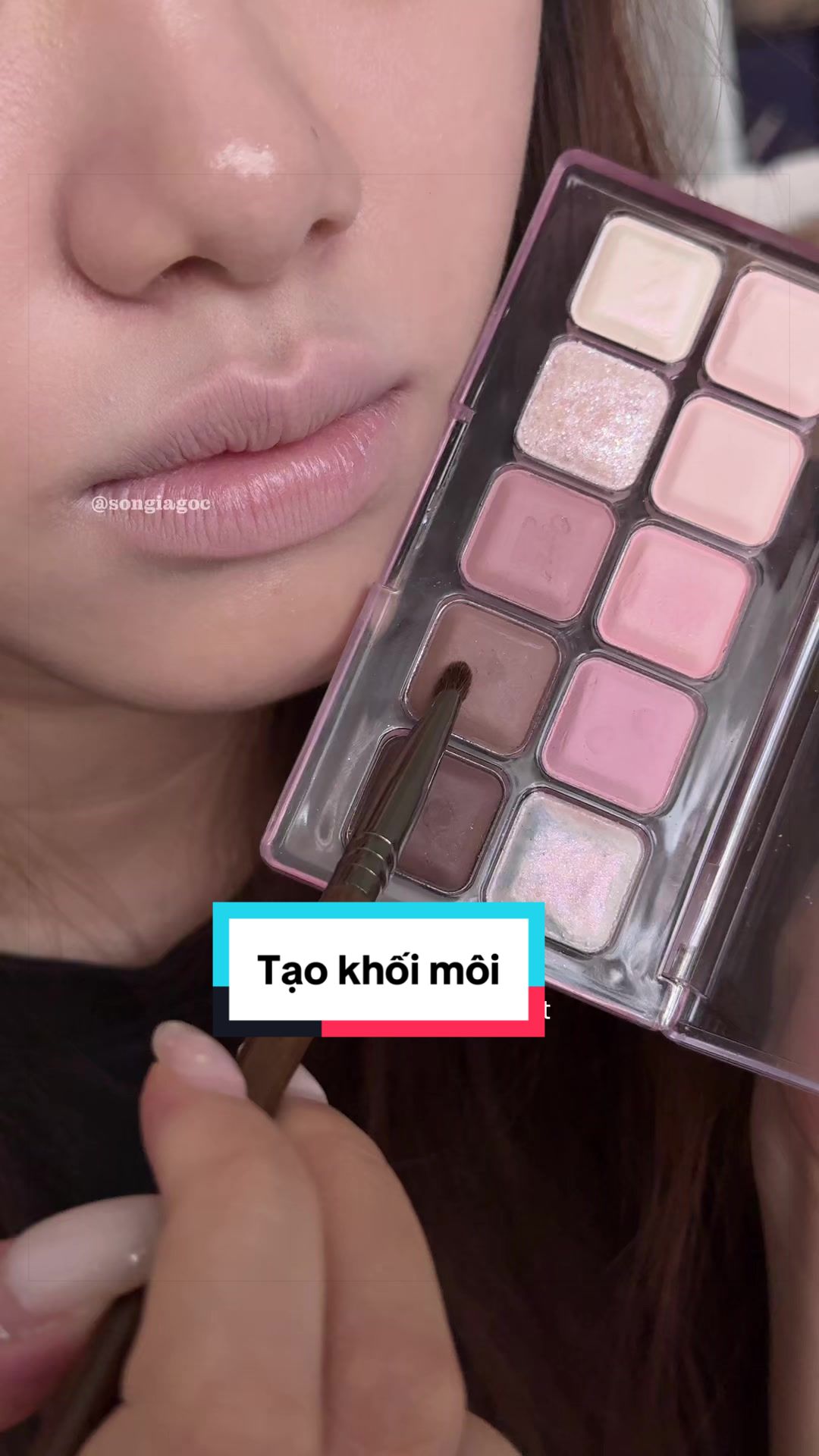 @Son Giá Gốc