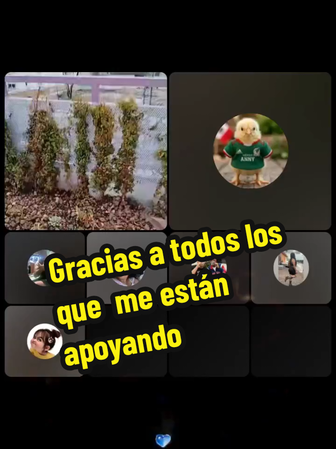 @ruso gringo