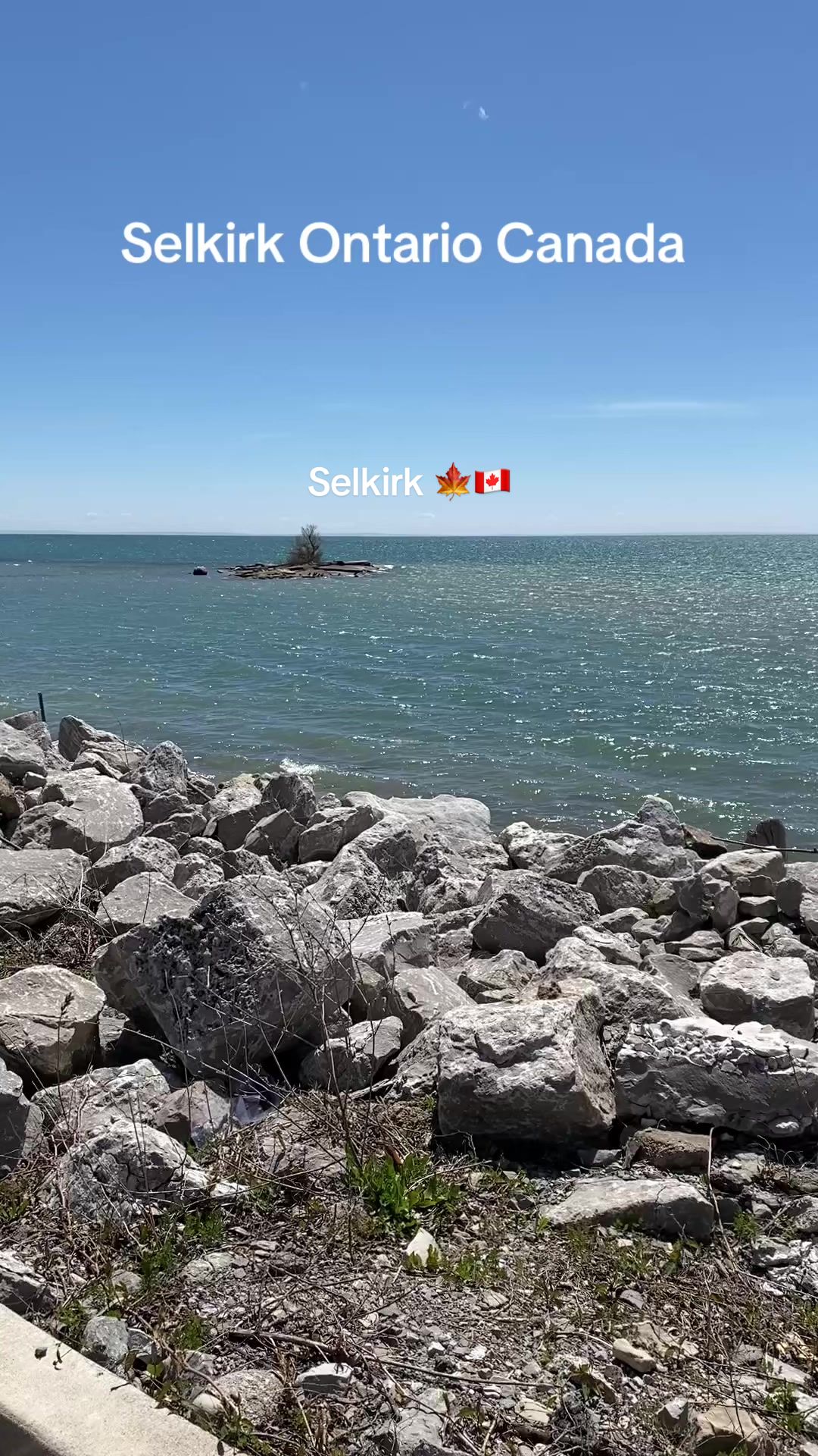 @NewfieInThe519🇨🇦🍁