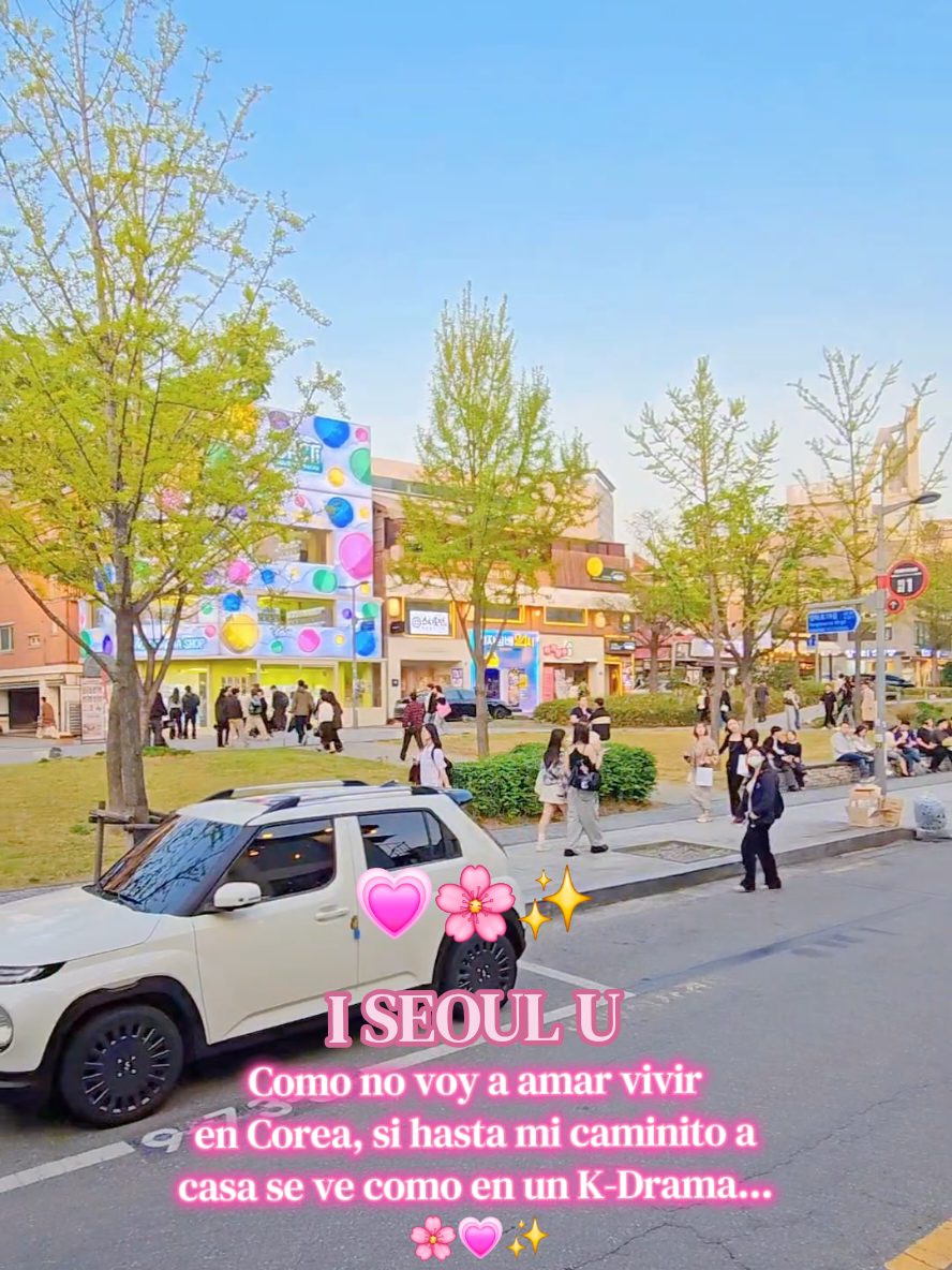 @𝑺𝑨𝑲𝑼𝑹𝑨 | 한국 🤍