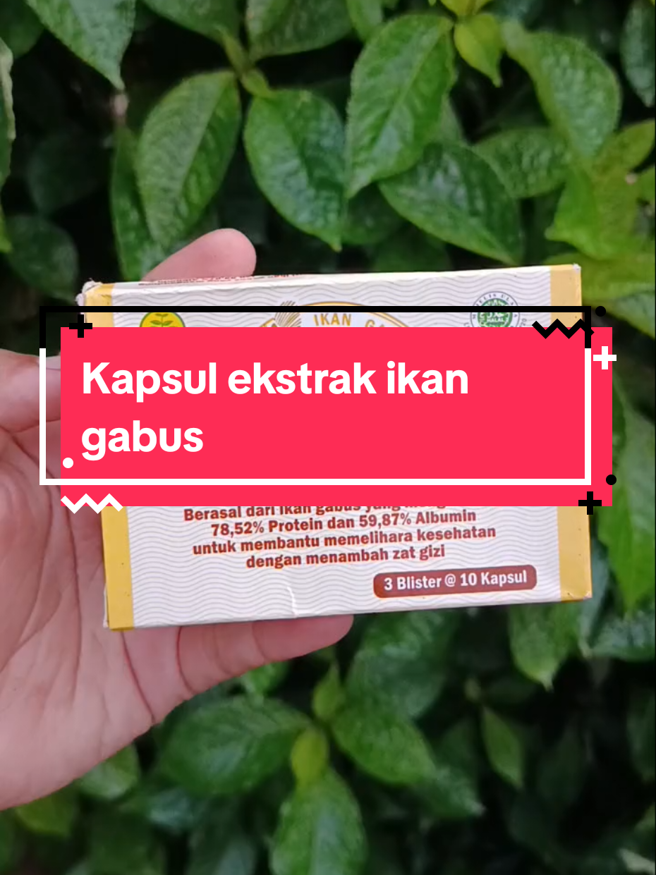 @numa04