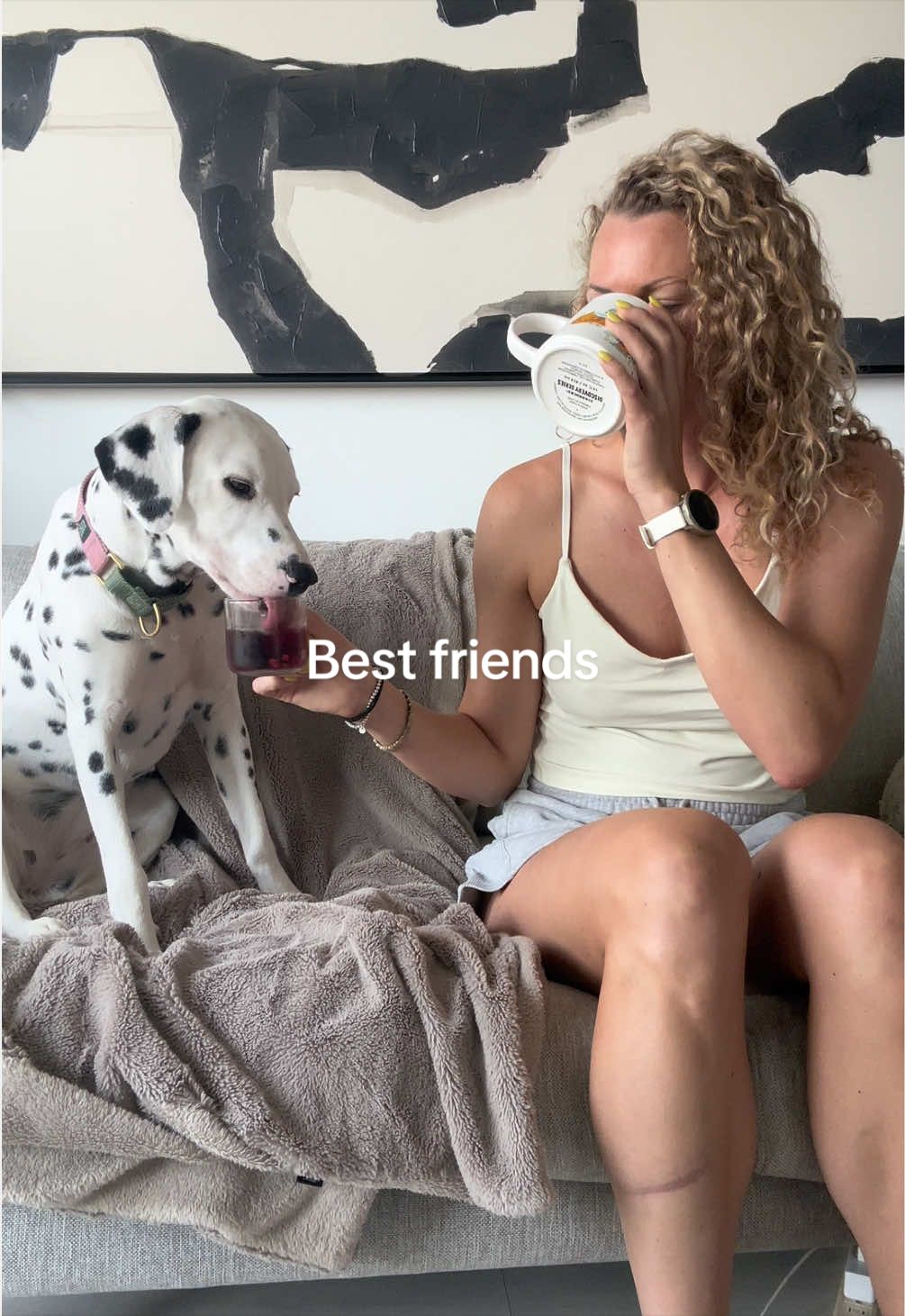@Nevada the Dalmatian
