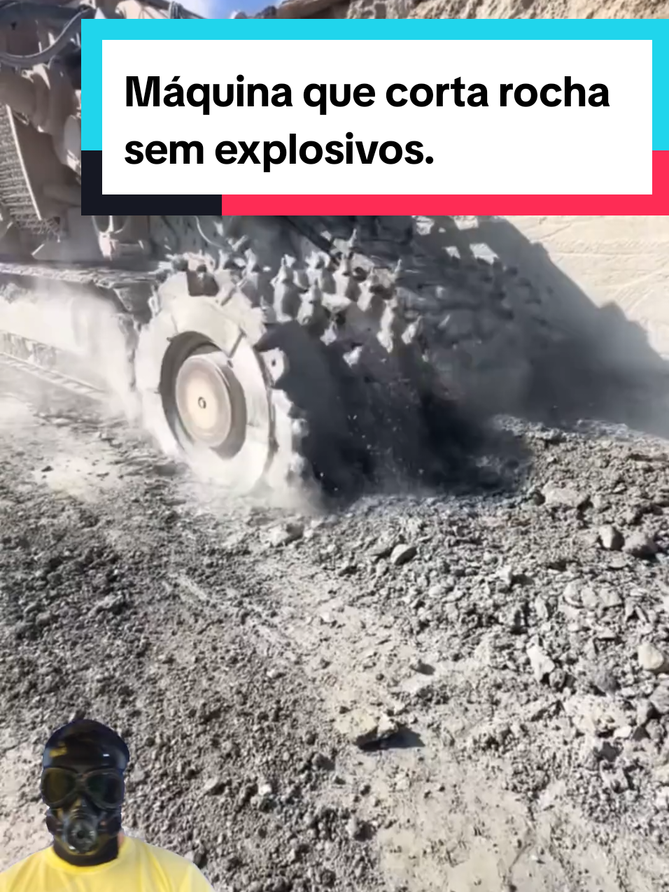 @Mundo da Curiosidades