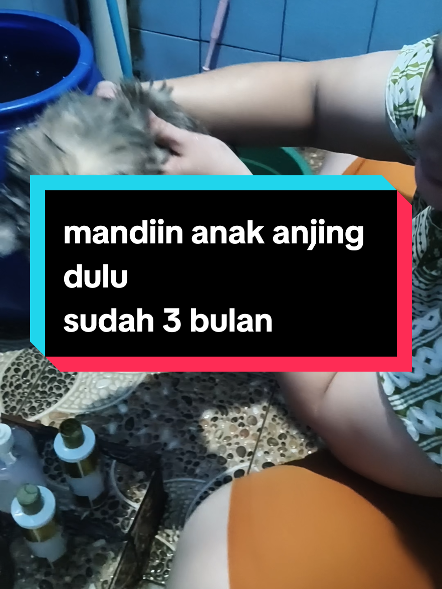 @Sarah Purnama ❤️❤️❤️
