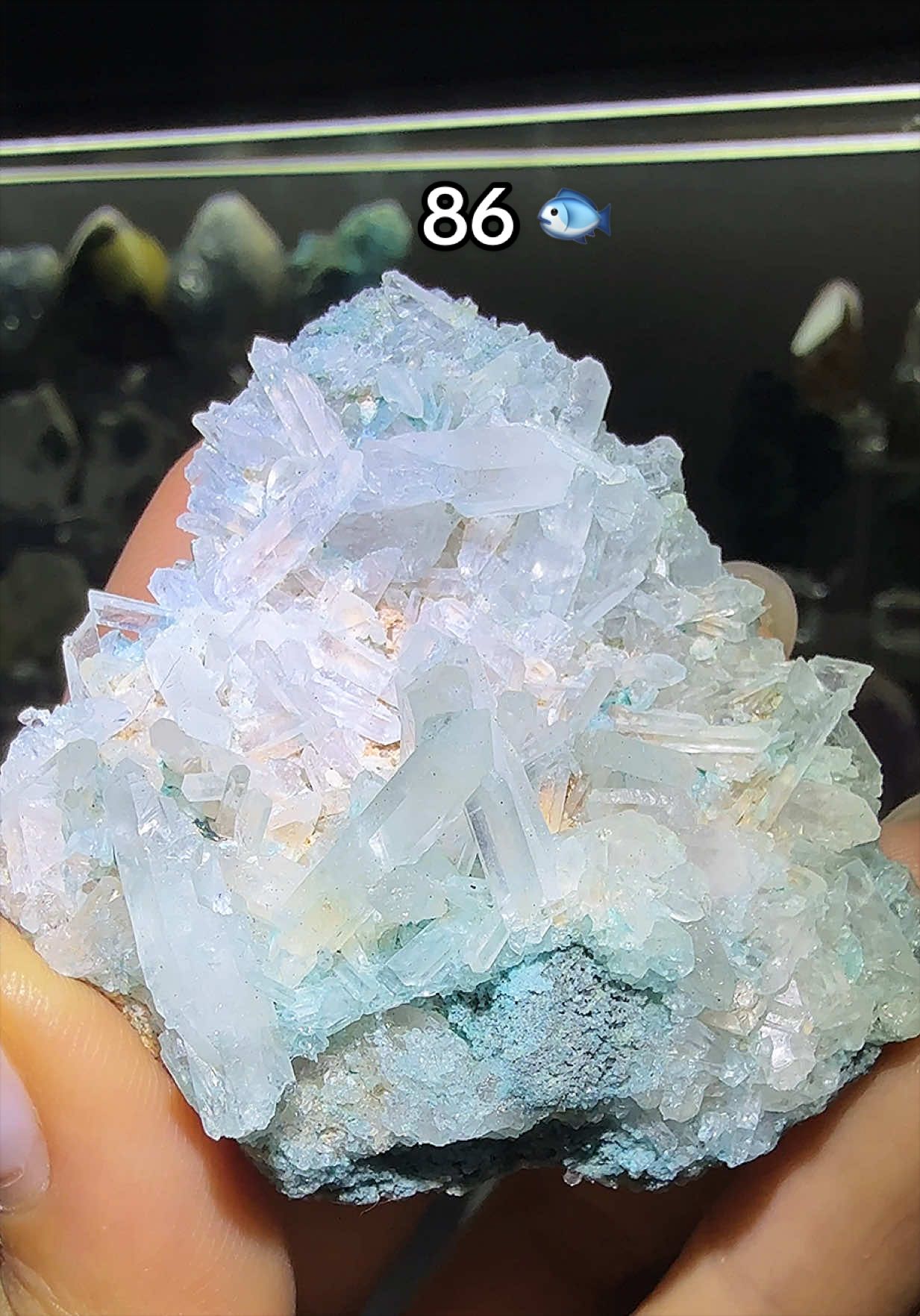 @Halen Crystal
