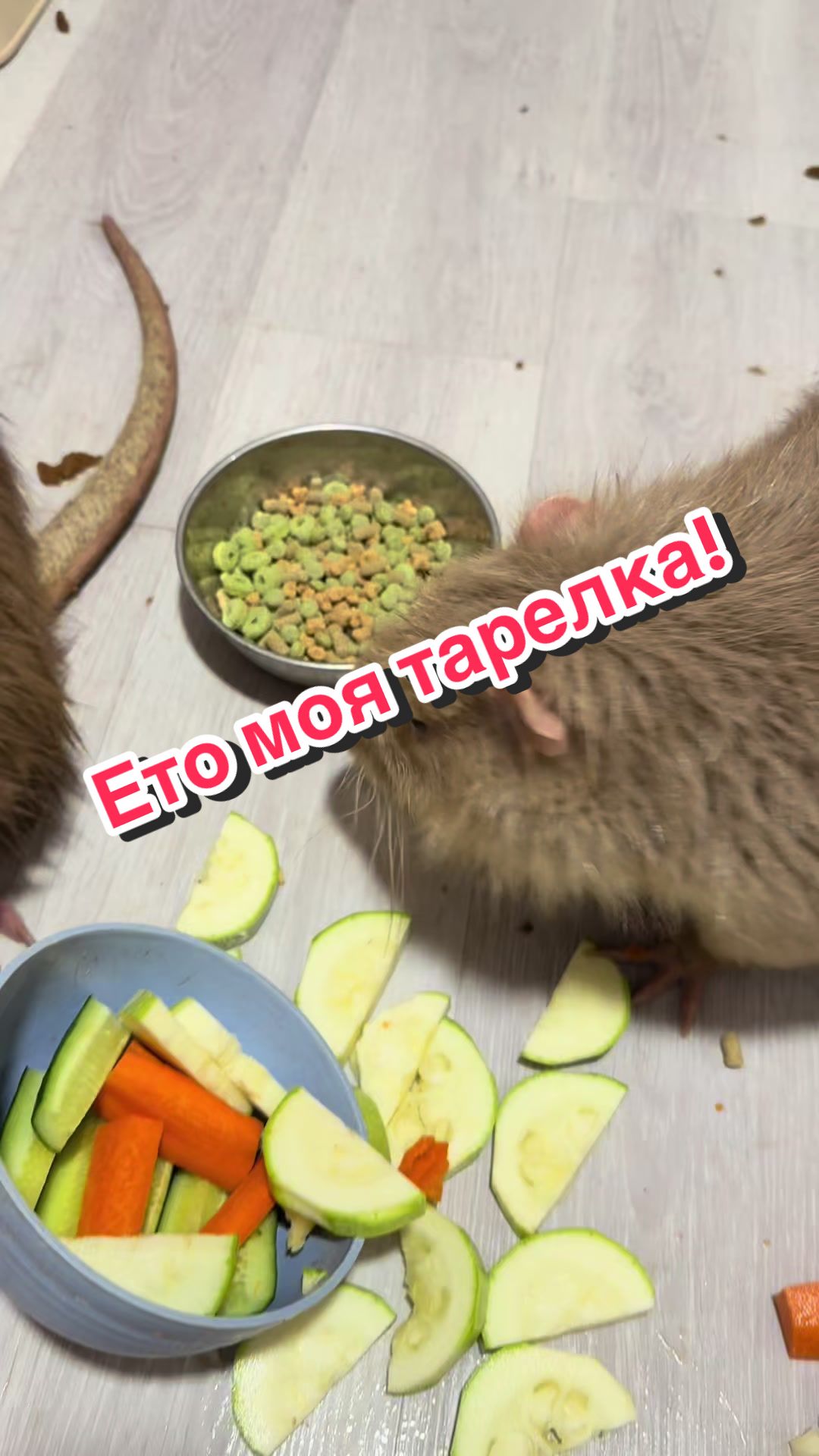 @Пафнутрий