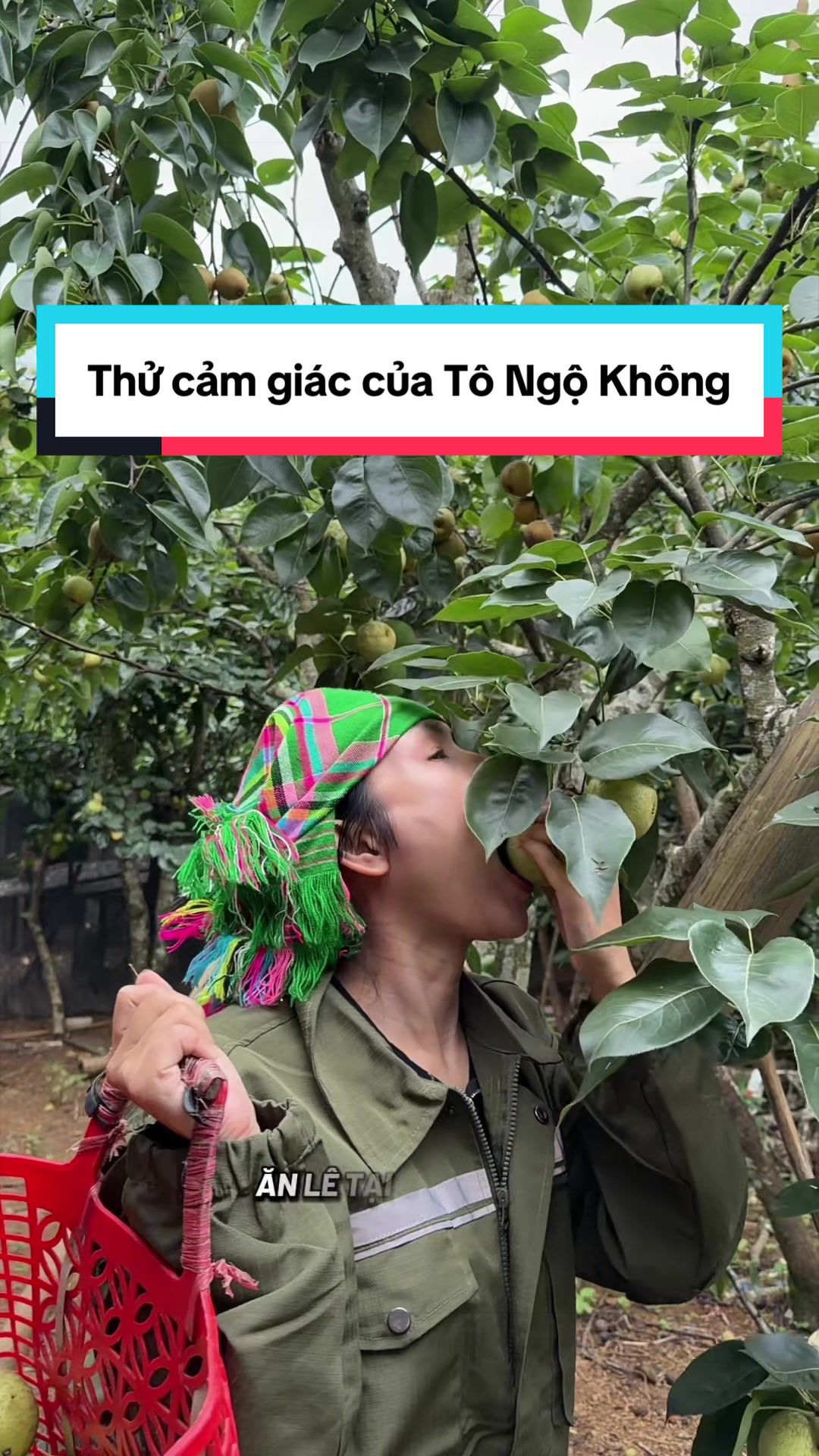 @Dung Nhây